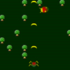 Bugs