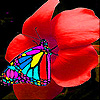 Butterfly eating flower slide puzzle