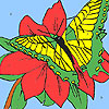 Camellia and butterfly coloring