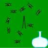 Capture the Bugs
