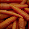 Carrot Jigsaw Puzzle