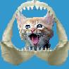 Cat Crunch