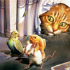 Cat, mouse, parrot and fish.