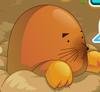 Catch Moles
