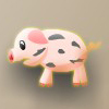 catch pig 抓猪