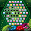 Checker Craze