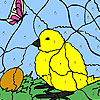 Chick And egg coloring