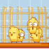 Chick Shower