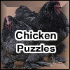 Chicken Puzzles