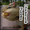 Chickmunk Puzzles