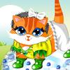 Clever Cat Collection