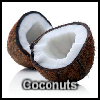 Coconuts