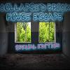 Collapsed Brick House - SE