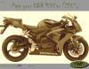 COLOR CBR 1000rr (2007)