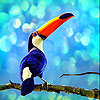 Colored beaked bird slide puzzle