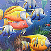 Colorful  deep sea fishes slide puzzle