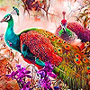 Colorful peacocks in the woods puzzle