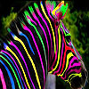 Colorful zebra slide puzzle