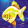 Confused sea fish slide puzzle