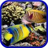 Coral reefs. Hidden objects