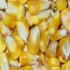 Corn Kernels Slider