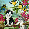 Crazy cats and birds slide puzzle