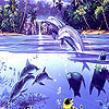Crazy dolphins puzzle