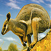 Cute kangaroo slide puzzle