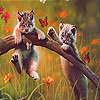Cute naughty cats slide puzzle