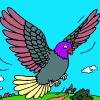 Cute Pigeon Coloring
