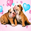 Cute Puppies Jigsaw Puzzle