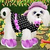 Cute Puppy Dressup