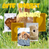 Cute Rabbit Memory