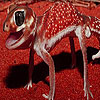 Cute red lizard puzzle
