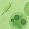 Cyto-Life