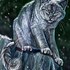 Dark cat  in the woods slide puzzle
