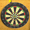 Darts3D