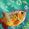 Deep sea tropical fish slide puzzle