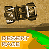 Desert Race