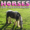 Differences: Horses