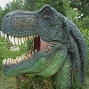 Differences in DinoLand