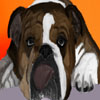 Dog pingpong
