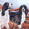 Dogs in the garden slide puzzle