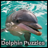 Dolphin Puzzle