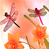 Dragonflies in the garden puzzle