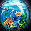 Dream fishes slide puzzle