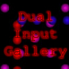Dual Input Gallery