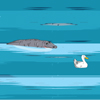 Duck Chase