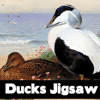 Ducks Jigsaw