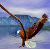 Eagle